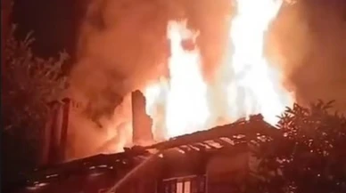 İstanbul'da şiddetli lodos hayatı olumsuz etkiliyor: Ağaçlar devrildi, seferler iptal!