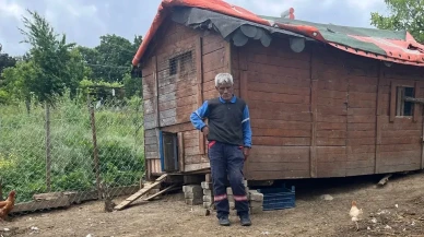 Köpek saldırısı: 80 kümes hayvanı telef oldu, jandarma harekete geçti