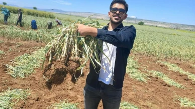 Arabanlı genç mühendis babasının mirasını bilime taşıyor: Sarımsak yetiştiriciliğinde devrim