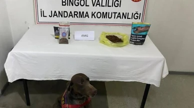 Bingöl'de yolcunun üzerinden bonzai çıktı: F.k. İsimli şahıs yakalandı