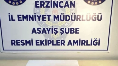 Erzincan'da uyuşturucu şokuyla karşılaşan polis: 9 adet EXTACY ele geçirildi
