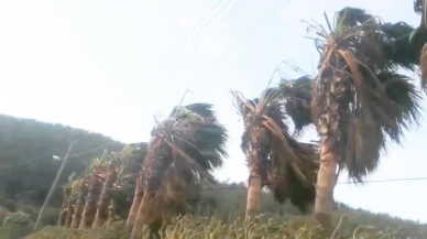 Muğla'da kuvvetli fırtına alarmı! Vatandaşlar için önemli uyarılar