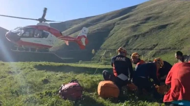 Van'ın Gevaş ilçesinde kayalıkta mahsur kalan kurtarıldı
