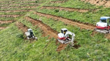Niğde Çamardı'nda 65 bin fidanla büyük ağaçlandırma hamlesi: 227 hektarlık alanda ağaçlandırma yapıldı