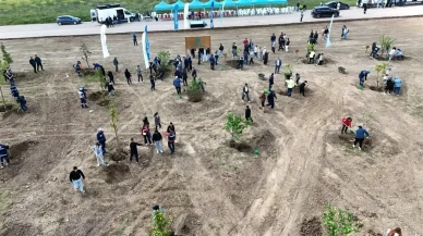 Kocaeli'nde doğa seferberliği: 3500 fidan toprakla buluştu
