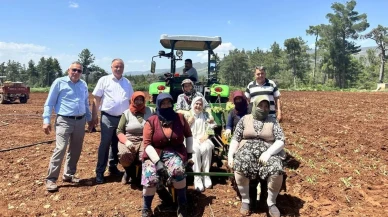 Denizli Milletvekili Ün, Anneler Günü'nü tütün tarlalarında kadınlarla kutladı