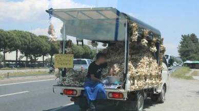 Sarımsak satıcısının tehlikeli yolculuğu: Aydındenizli karayolunda yaşananlar