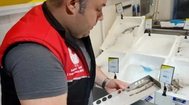 Edremit'te su ürünleri denetimleri aralıksız sürüyor