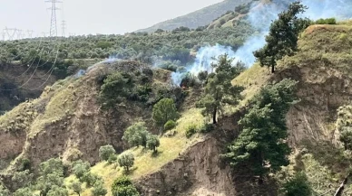 Aydın'da korkutan yangın: İtfaiye ve Orman Ekipleri müdahale ediyor