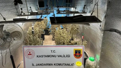 Uyuşturucu operasyonuyla gündeme oturan Kastamonu'da yargılama sürüyor: Çiftlik evleri kenevir serasına döndü