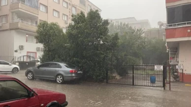 Osmaniye'de fırtınadan sonra: Ağaçlar kökünden söküldü, su birikintileri oluştu