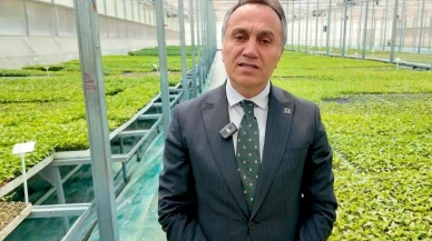 Tokat Gaziosmanpaşa Üniversitesi, fide üretimini iki katına çıkardı! Çiftçilere büyük destek sağlayacak