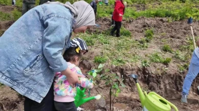 Osmaniye'de koruyucu aileler için hatıra ormanı oluşturuldu