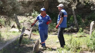 Yenipazar'da temizlik ve yenileme ikinci baharını yaşıyor