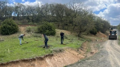 Kütahya'da hükümlüler doğaya katkı sağlıyor: 700 fidan dikildi, mesire alanı temizlendi