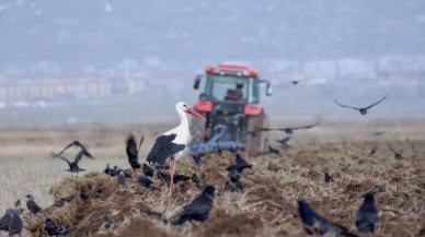 Erzurum'da traktör ve motosiklet sayısında ciddi artış: İşlem yapılan araç sayısı 4 bin 408