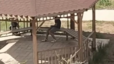 Elazığ'da parklarda güvenlik zafiyeti: Kamelyalara saldırı anı cep telefonuyla görüntülendi