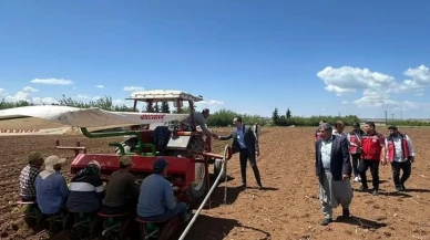 Adıyaman'da Ege tipi tütün ekimi start aldı! Çiftçilere destek mesajı