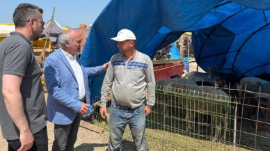 Kocaeli belediyelerinin Kurban Bayramı hizmetleri devam ediyor