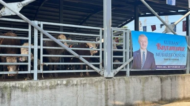 Büyükşehir modern mezbahada kurban kesimi yapıyor