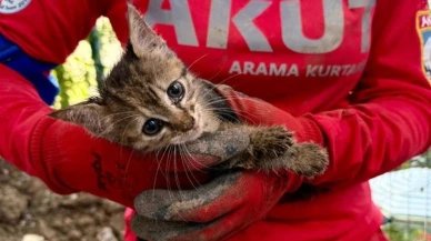Yavru kedi 7 günlük esaretten kurtarıldı