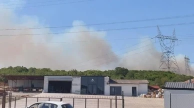 Gebze ormanlık alanında yangın çıktı
