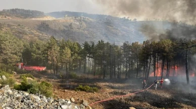Kocaeli Bursa'daki orman yangınına ekip gönderdi
