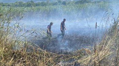 Sapanca Gölünde sazlık yangını söndürüldü