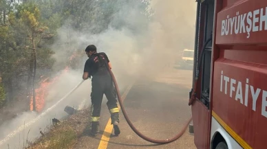 Kocaeli itfaiyesi Geyve yangınına müdahale etti