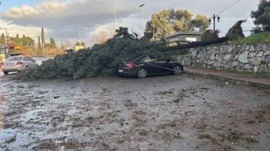 Gebze’de fırtına iki aracı hasara uğrattı