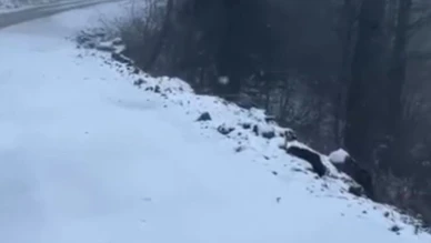 Kartepe kar yağışıyla beyaza büründü