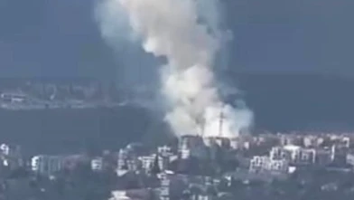 İzmit ormanlık alanda yangın çıktı