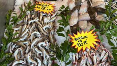 Düzce Haber: Hamsi 150 Tl'den 50 Tl'ye Düştü