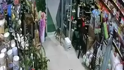 Aç Tilki Japon Pazarına Girer!