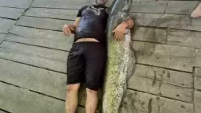 Düzce'de 52 Kg Balık Ağa Takıldı...