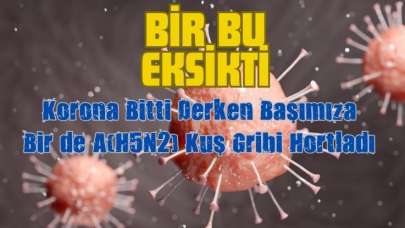 Bir Bu Eksikti! Korona Bitti Derken Bir de A-H5N2 Hortladı...