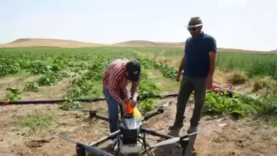 Çiftçi Dron Kullanarak 150 Bin Lira Tasarruf Etti! Tarımda Devrim Yapan Teknoloji