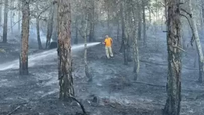 Bolu’da Örtü Yangınında 2 Dönümlük Alan Kül Oldu