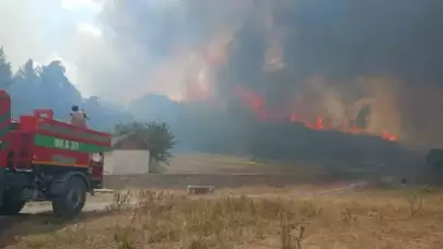 Ankara’da başlayan yangın Bolu’ya sıçradı