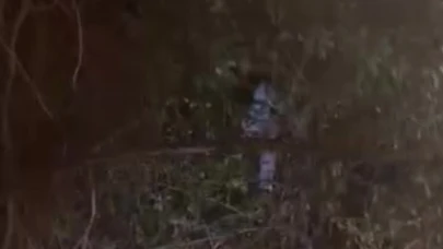 Çocuk ağaçtan itfaiyeyle kurtarıldı