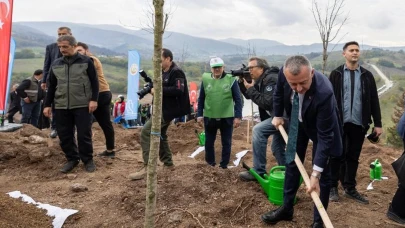 Karamürsel’de yangın bölgesine 3 bin ağaç dikildi