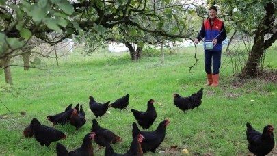 Kocaeli üreticiye yüzde 50 hibe desteği verdi