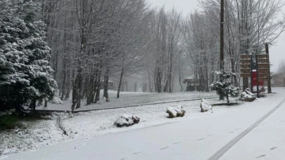 Kartepe'ye lapa lapa kar yağıyor