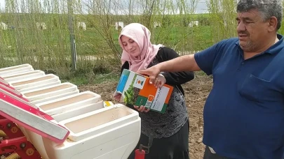 Traktörün direksiyonuna geçen kadın çiftçi: Erkeklere taş çıkartıyor