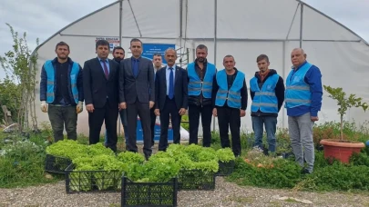 Denetimli serbestlikteki hükümlüler, Ünye'de ilk hasadı yaptı: Ziraat odası projesiyle tarıma adım attılar