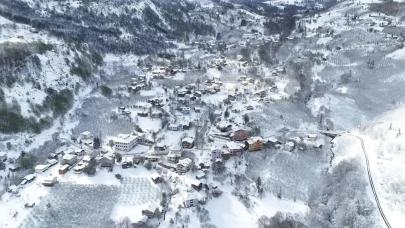 Sakarya'da nisan sürprizi: Hendek ilçe merkezine kadar kar indi