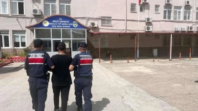 Nazilli'de jandarma operasyonu: İki zanlı tutuklandı