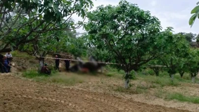 Germencik'te traktör kazası: Hıdırbeyli Mahallesi'nde bir kişi hayatını kaybetti