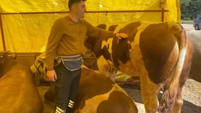 Derince Kurban Pazarı'nda fiyatlar 130 bin TL'den başlıyor