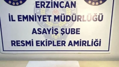 Erzincan'da uyuşturucu şokuyla karşılaşan polis: 9 adet EXTACY ele geçirildi